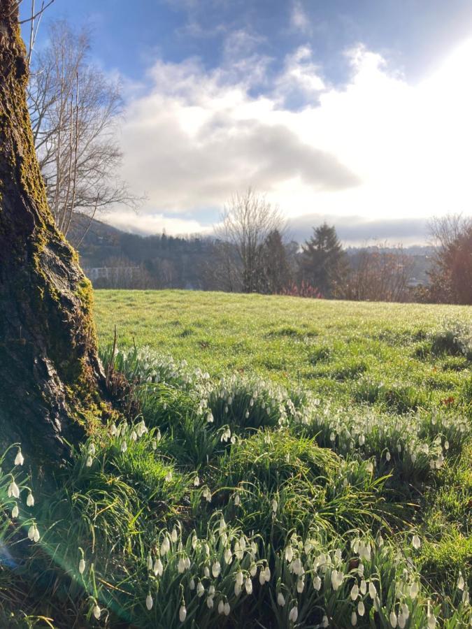 La Tuilerie Chambres D'Hotes Saint-Die-des-Vosges Εξωτερικό φωτογραφία